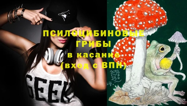 каннабис Аркадак