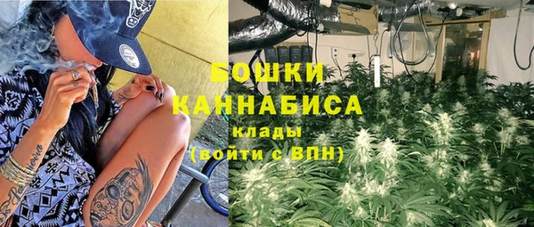 каннабис Аркадак