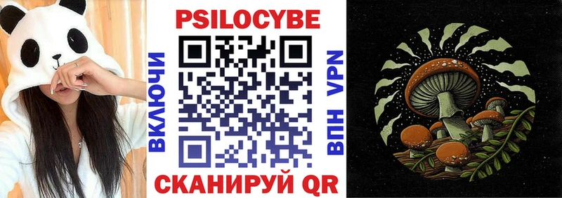 Псилоцибиновые грибы Psilocybe  Калач-на-Дону 